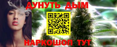 прущие грибы Лесосибирск