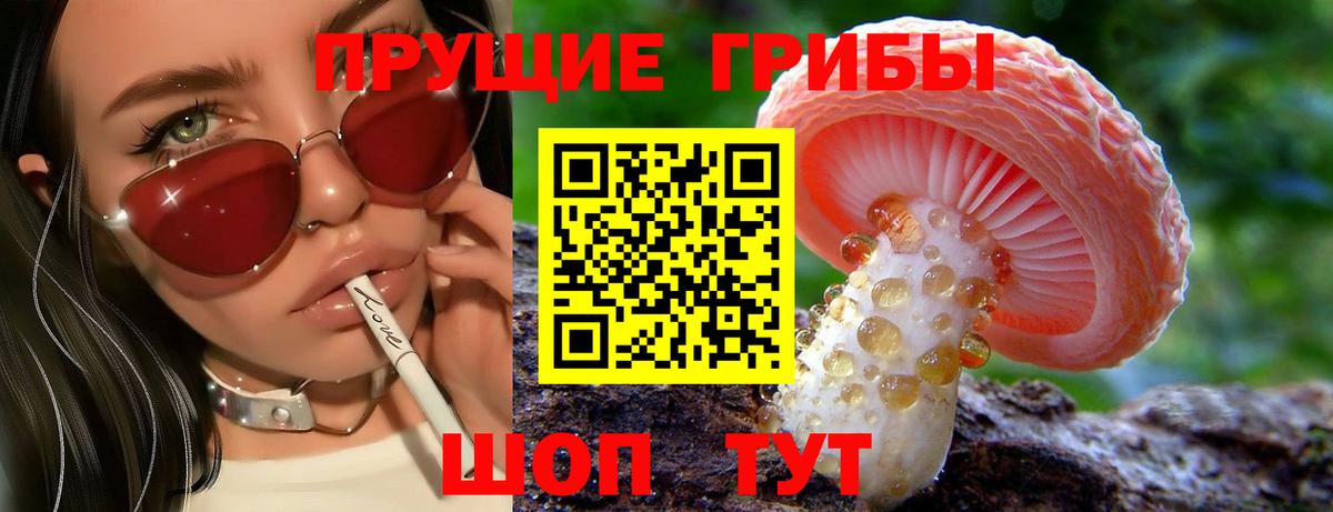 Псилоцибиновые грибы Cubensis Екатеринбург